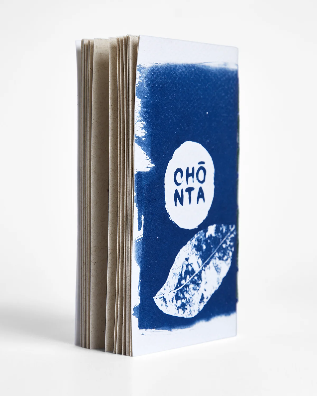 Libreta cianotipia serie Puertas interior 1